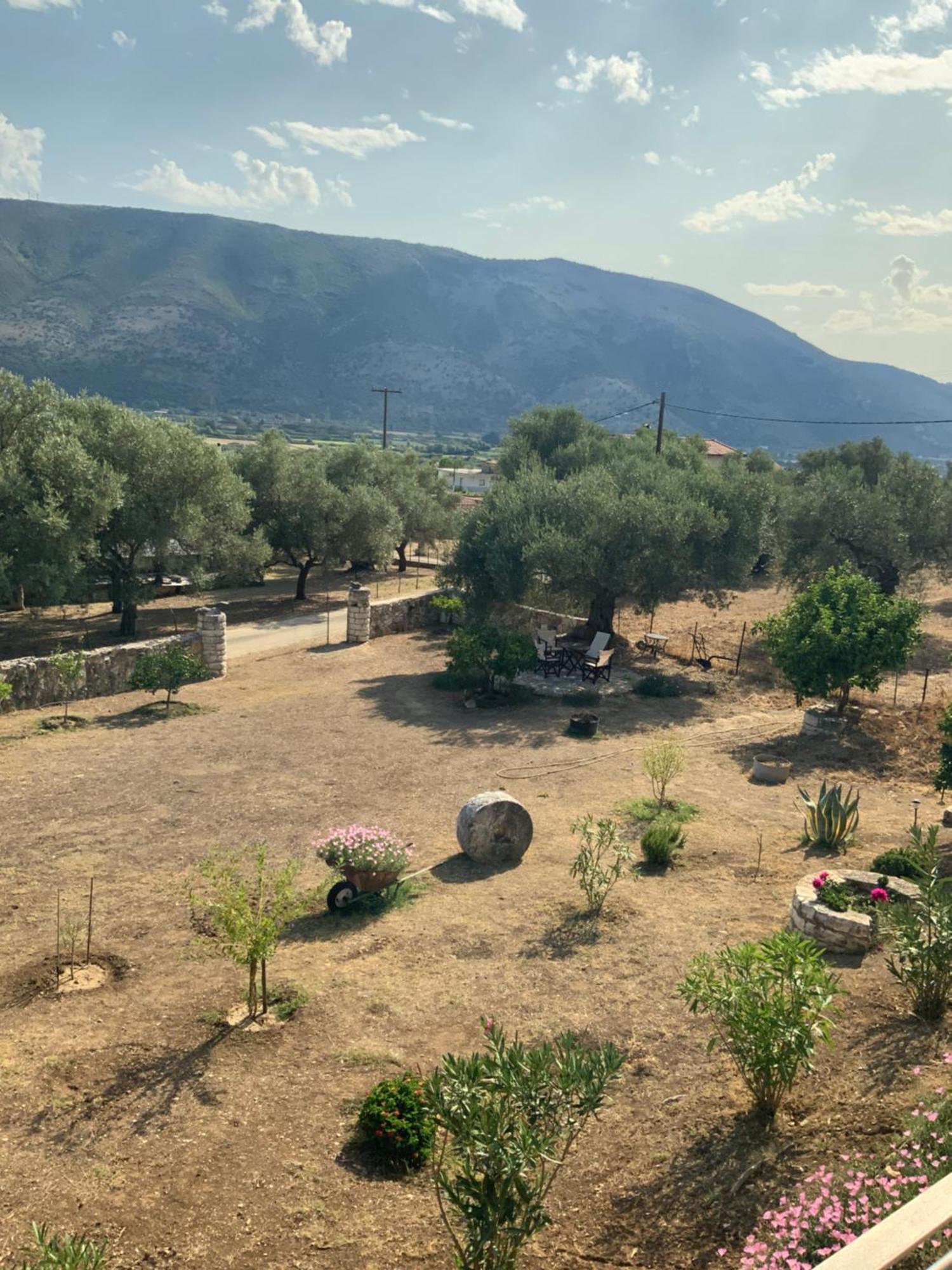 Villa Gloria Plataria Igoumenitsa Eksteriør billede
